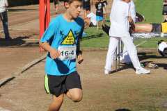 IMG_1200PSVC-
