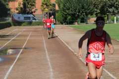 IMG_1201PSVC-