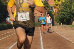 IMG_7333-FILEminimizer