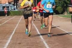 IMG_7525-FILEminimizer