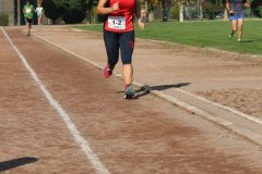 IMG_7591-FILEminimizer