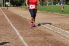 IMG_7592-FILEminimizer